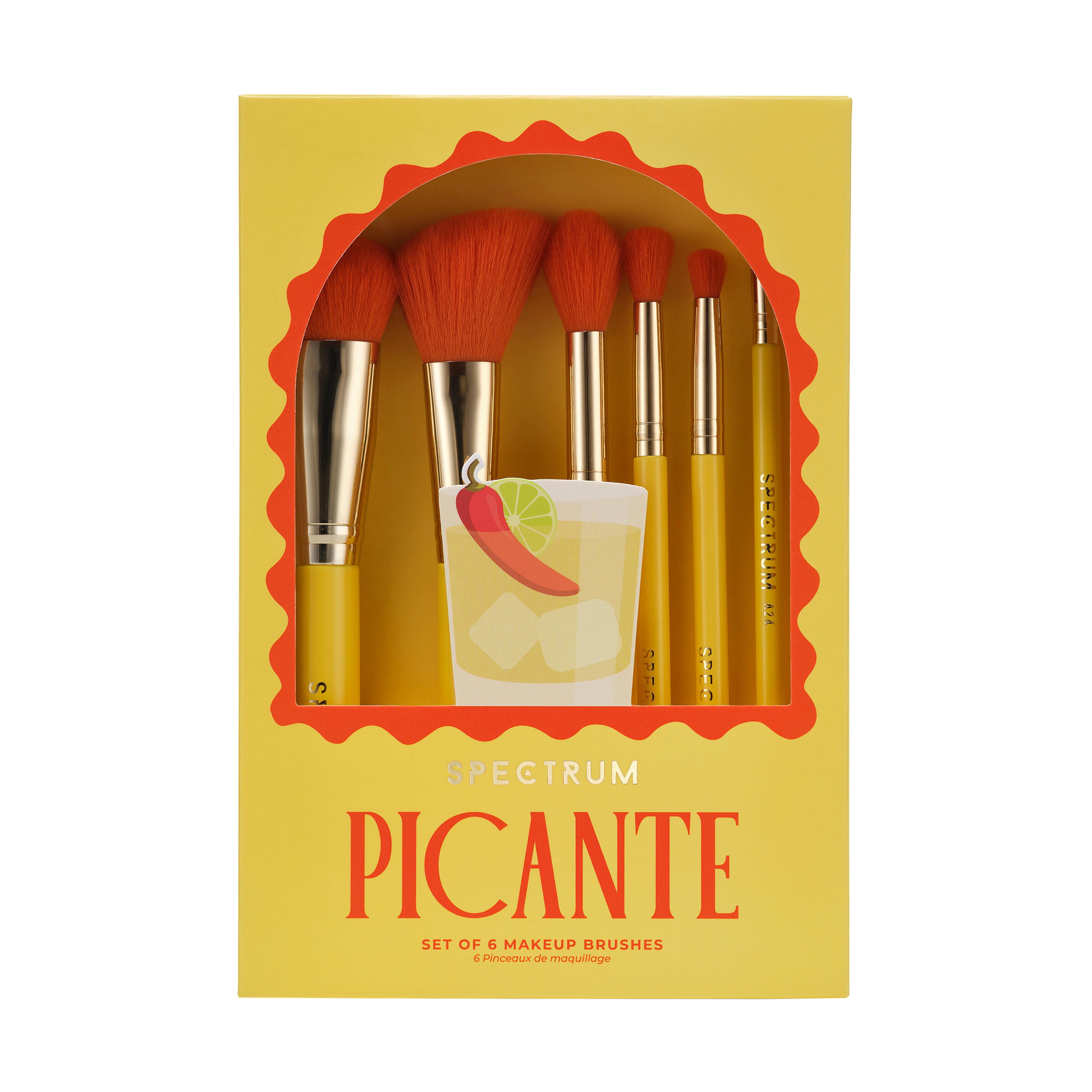 Picante 6 Piece Brush Set