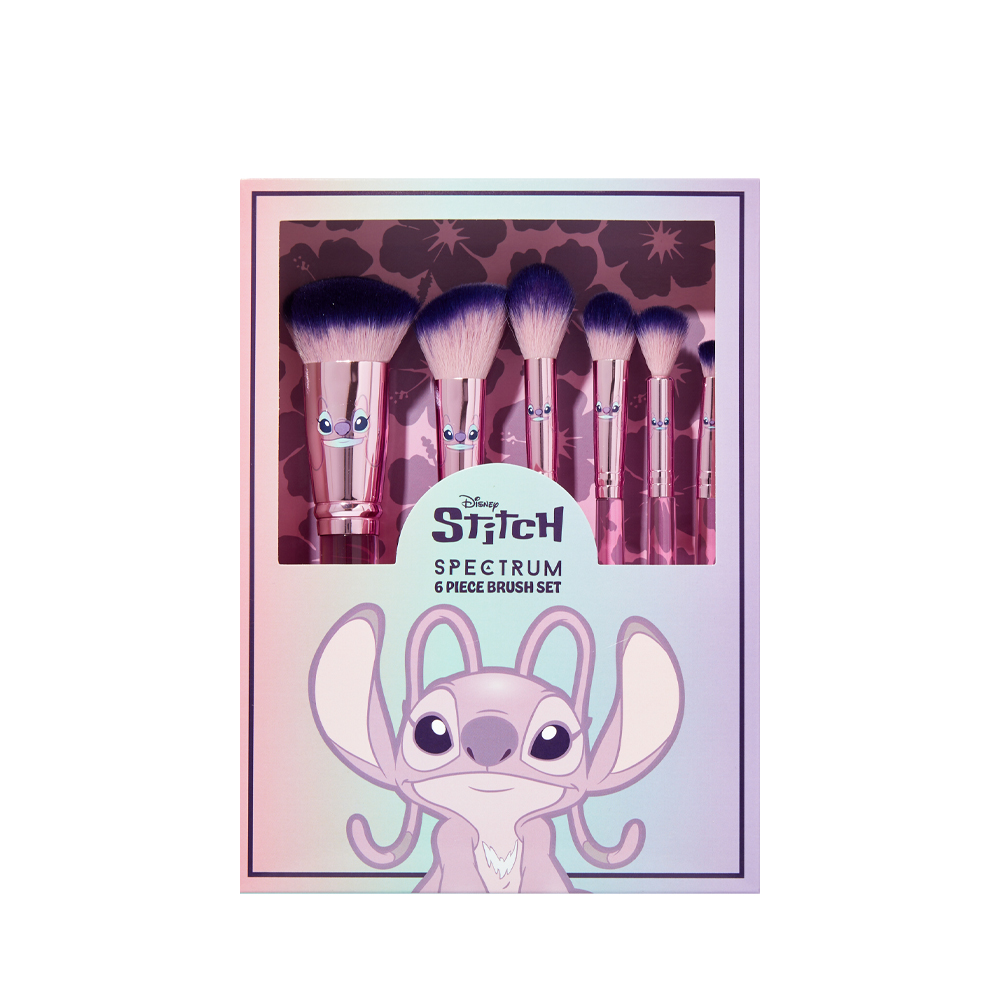 Angel 6 Piece Brush Set