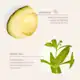 Mimitika - Green Shot Serum