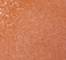 ICON0115F
