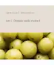 KIKI Health - Organic Vitamin C - 50 Vegicaps