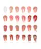 Pink Honey - Lip Glaze - Lip Gloss 