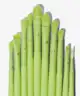 Made By Mitchell - 16 Piece Brush Set & Brush Pouch