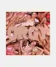 Jeffree Star Cosmetics - Mini Orgy Eyeshadow Palette