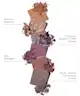 By BEAUTY BAY - Neutral 16 Colour Palette