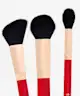 Spectrum Collections - Check Mate 8 Piece Brush Set