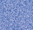TWEE0107U