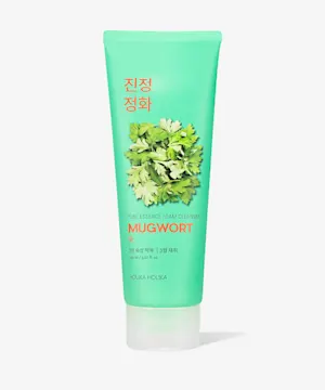 holikaholika Pure Essence Mugwort Foam Cleanser