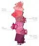 By BEAUTY BAY - Berries 16 Colour Palette