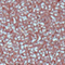 NABL0016F