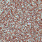 NABL0015F