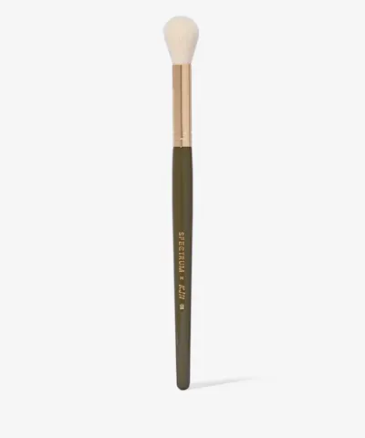 Spectrum Collections - KJH Professional Single Brush - 08