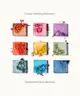 By BEAUTY BAY - Mini Charms Bright 9 Colour Palette