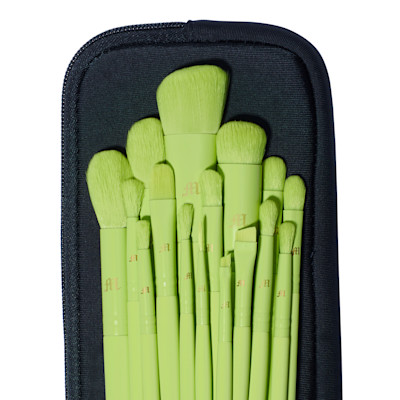 16 Piece Brush Set & Brush Pouch