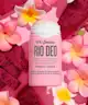 Sol de Janeiro - Beija Flor Rio Deo