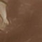 REVP0066F