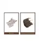Anastasia Beverly Hills - Ultimate Brow Essentials Kit
