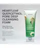 ANUA - Heartleaf Quercetinol Pore Deep Cleansing Foam