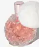 Ariana Grande - Ari Eau de Parfum Spray