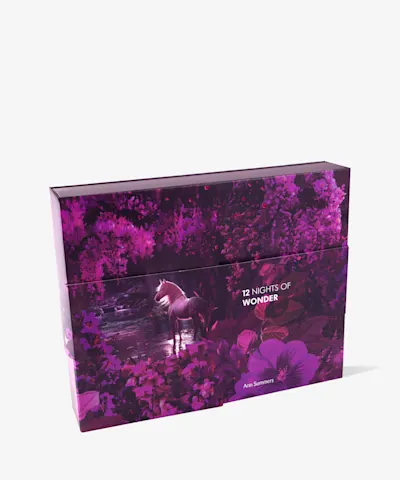 Ann Summers - 12 Nights of Wonder Calendar Pink