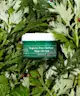 AXIS-Y - Mugwort Pore Clarifying Wash Off Pack