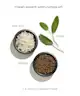 Babe Original - Babe Locks Densifying Hair Serum 