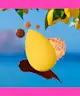 beautyblender - Limoncello