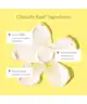 Beekman 1802 - Bloom Cream