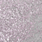 HALF0020F