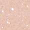 BFBB0282F