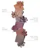 By BEAUTY BAY - Neutral 42 Colour Palette