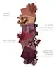 By BEAUTY BAY - Rich 42 Colour Palette