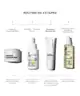 By BEAUTY BAY - Plumping Moisturiser Ectoin + Superberry Complex