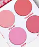 BH Cosmetics - Flower Power Blush Palette
