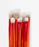 BH Cosmetics - Amore in Amalfi 7 Piece Eye Brush Set