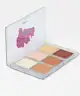 BH Cosmetics - BH Cosmetics X Iggy Azalea Totally Snatched Face Palette