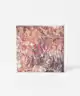 BH Cosmetics - BH Cosmetics X Doja Cat Elements Mini Shadow Quad