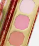 BH Cosmetics - BH Cosmetics X Doja Cat Flora Powder Blush Trio