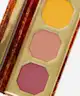 BH Cosmetics - BH Cosmetics X Doja Cat Flora Powder Blush Trio