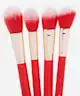 BH Cosmetics - Fa La La Fierce 12 Piece Face & Eye Brush Set With Bag