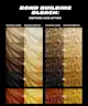 Bleach London - Bond Building Bleach Kit