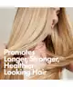 BondiBoost - Elixir Hair Oil