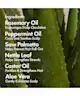 BondiBoost - Elixir Hair Oil