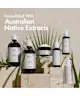 BondiBoost - Elixir Hair Oil