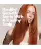 BondiBoost - HG Clarifying Rinse