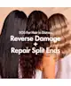BondiBoost - Rapid Repair Finishing Oil