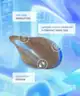 Bondi Sands - Technocolour 1 Hour Express Self Tanning Foam