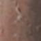 BPER0042F