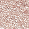 BPER0060F