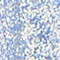 BPER0127F